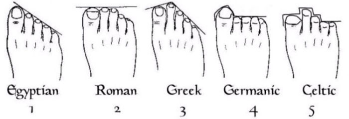 Toe Length Chart