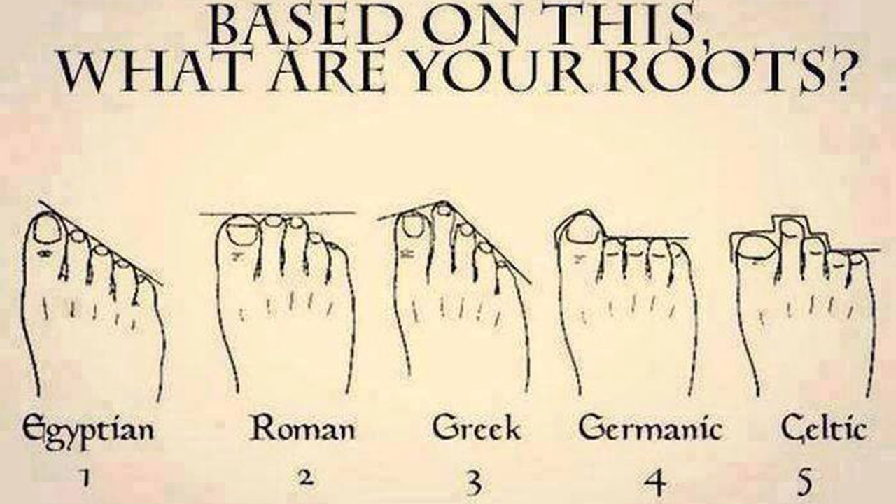 Toe Chart Definition