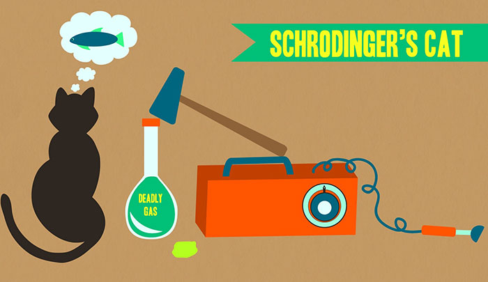 schrodinger-theory