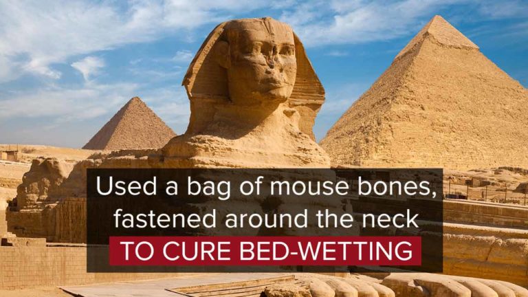 10 Most Bizzare And Interesting Facts About Ancient Egypt 
