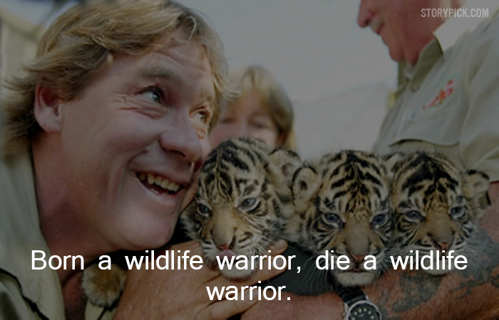 11 Quotes By Steve Irwin That Show His Compassion Towards Life