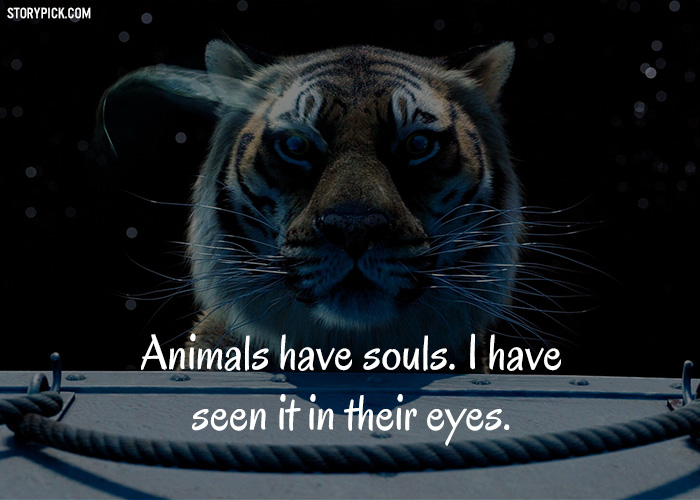 20 Life Of Pi Quotes That Took Us On An Emotional Roller Coaster 20 Life Of Pi Quotes That Took Us On An Emotional Roller Coaster