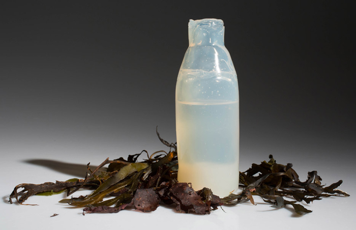 algae-water-bottle-by-ari-jonsson_dezeen_936_0