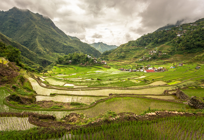 Batad Rice Terraces | Image source