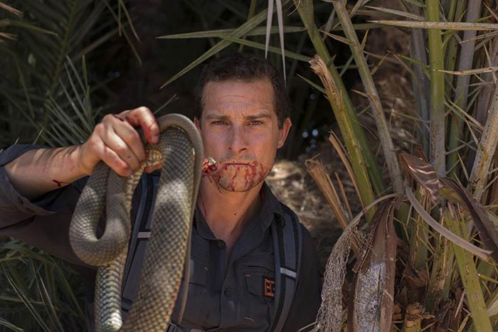 Here Are 11 Living Things Bear Grylls Has Eaten. If He Is In Town, Hide  Your Pets!