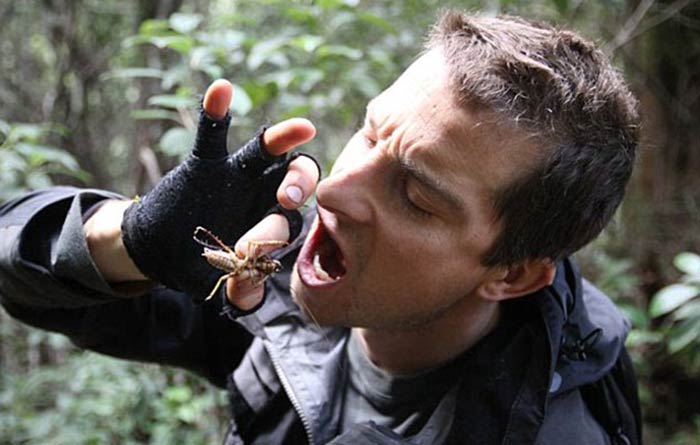 BEAR-GRYLLS-8