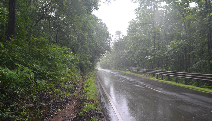 Road_in_Rain