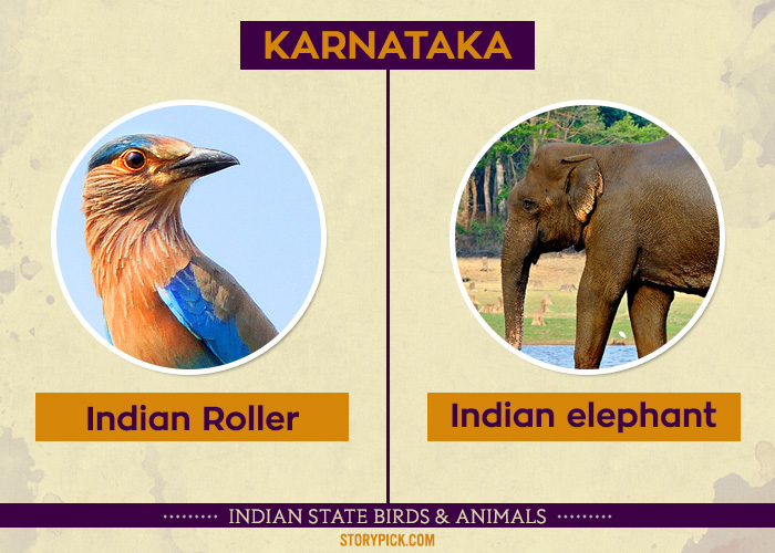 Did You Know That Every Indian State Has Its Own State Animal And Bird?  Find Out Yours!