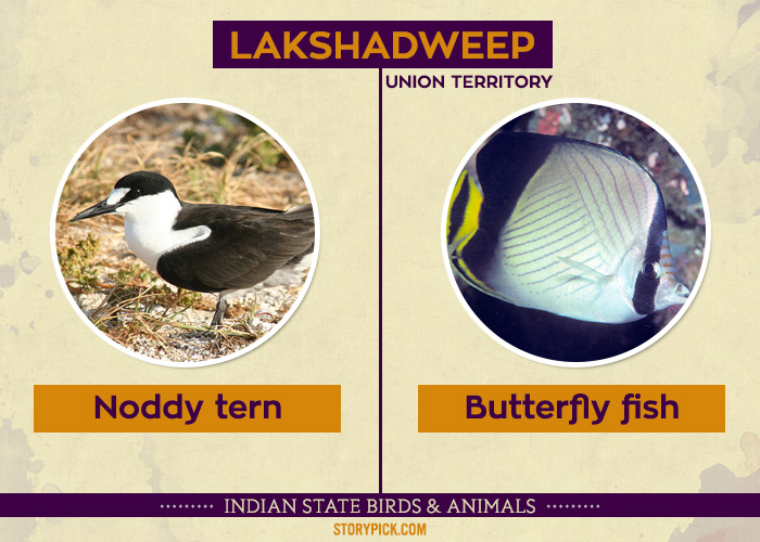 Did You Know That Every Indian State Has Its Own State Animal And Bird?  Find Out Yours!