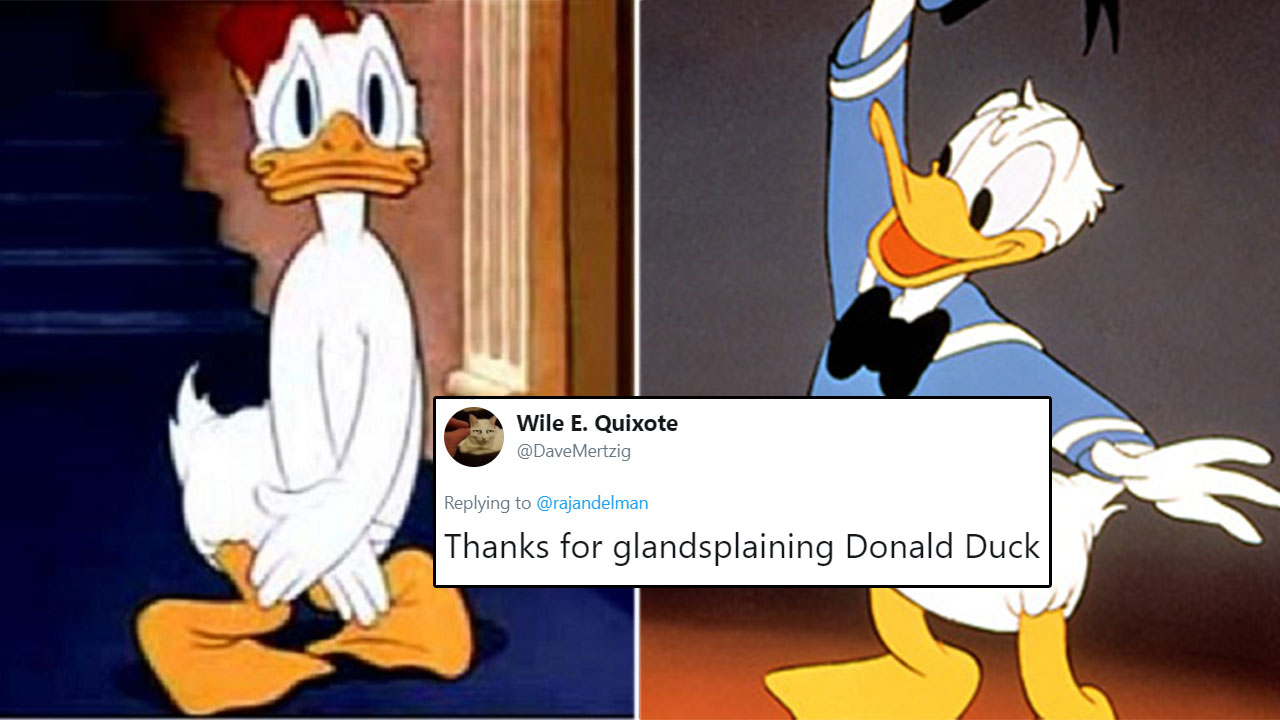 Someone Just Solved The Mystery Why Donald Duck Doesn't Wear Pants