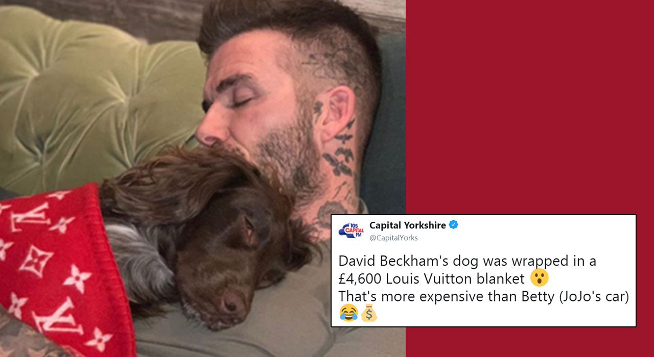 Power Couple David Beckham and Victoria Beckham Shells Out $37 an Hour on  Fitness of Dog Who Sleeps in $6,000 Designer Louis Vuitton Blanket -  EssentiallySports