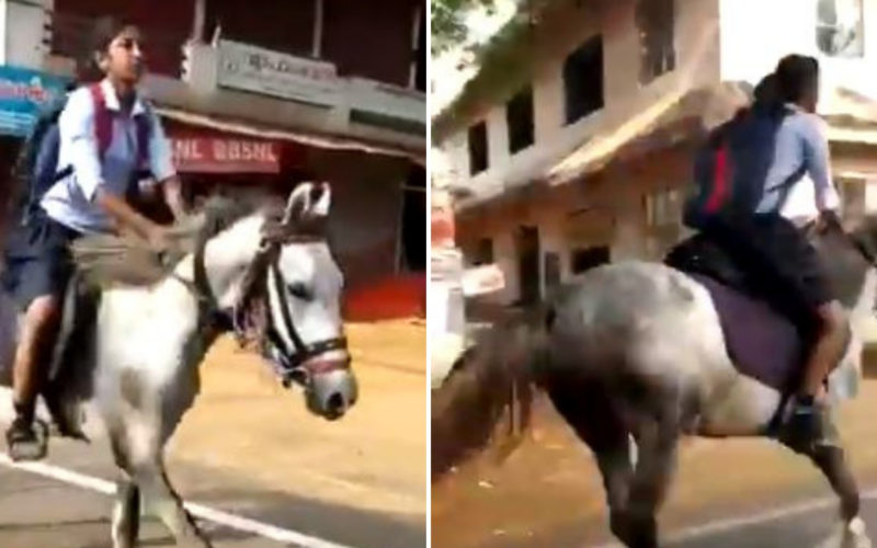 Kerala Girl Rides Horse To Class X Exam In Viral Video