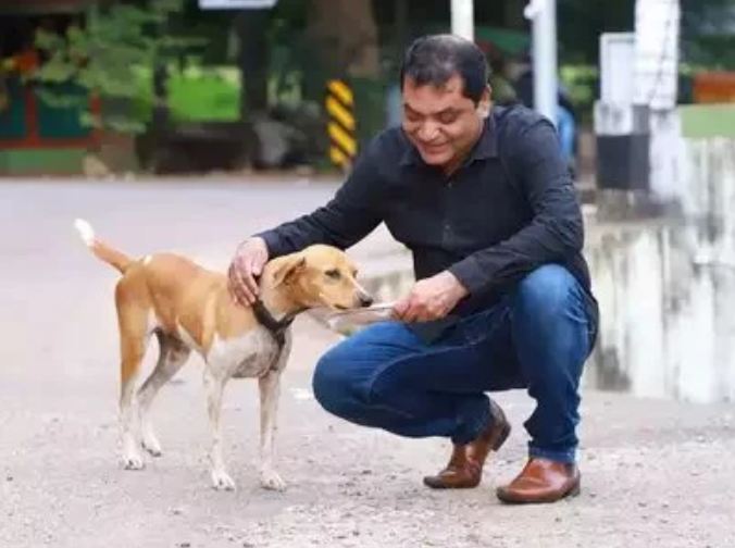 Man Sets Up Online Food Delivery Account For A Stray Dog