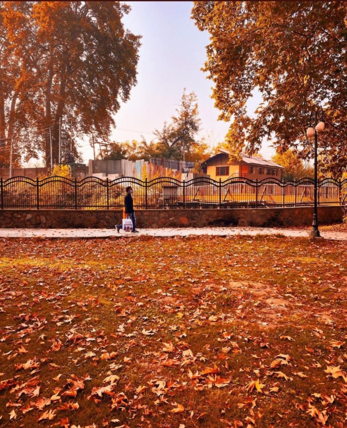 Kashmir Looks Magical During Autumn Season! People Share Stunning Visuals From The Valley
